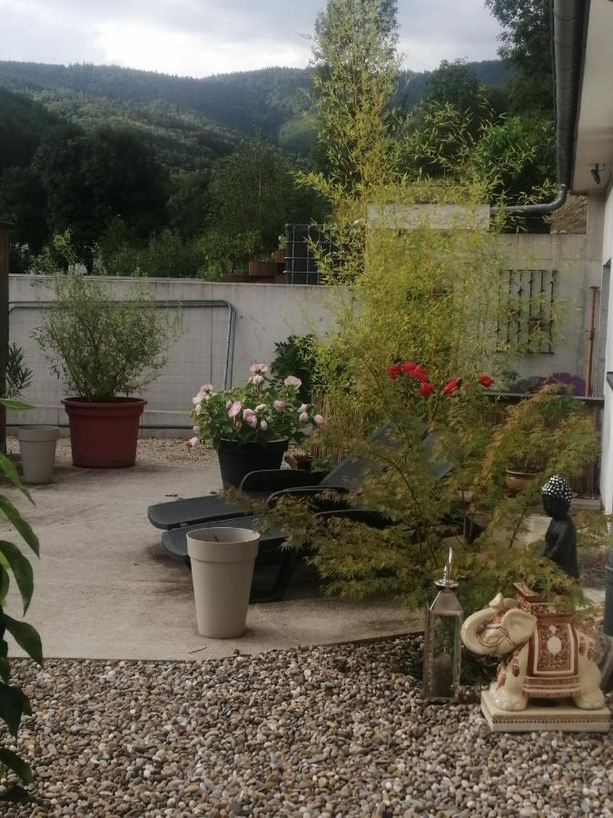 Bed and Breakfast L'Ecrin Des Biches Sainte-Marie-aux-Mines Exterior foto