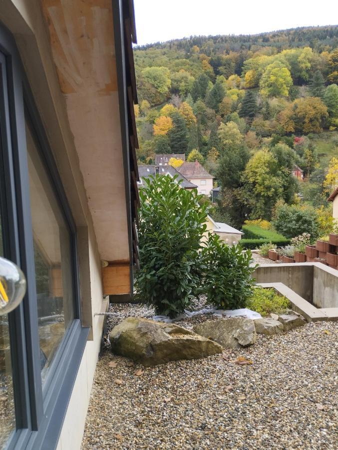 Bed and Breakfast L'Ecrin Des Biches Sainte-Marie-aux-Mines Exterior foto